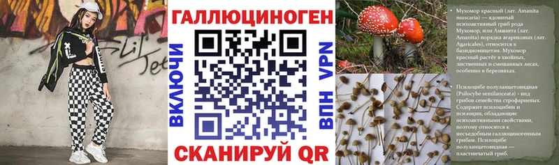 Купить где  Костерёво  Галлюциногенные грибы прущие грибы 