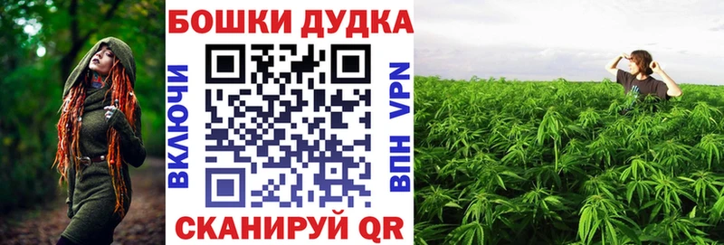 Купить закладки  Костерёво  Конопля сатива 